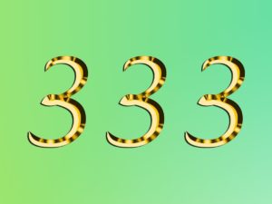 333-angel-number